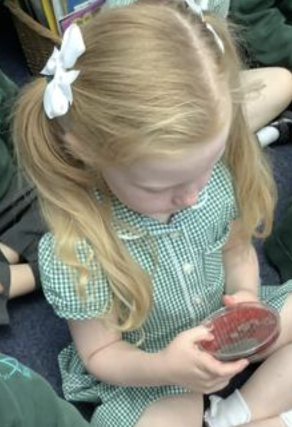Investigating germs on our hands 2 
