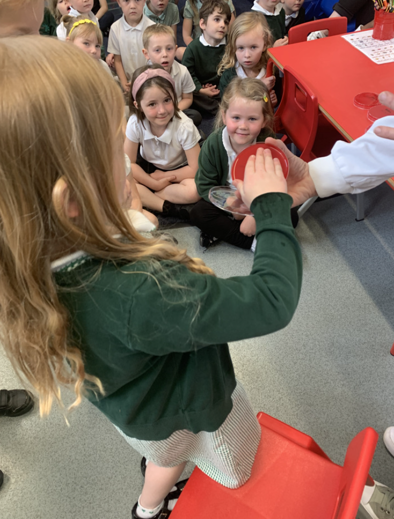 Investigating germs on our hands 