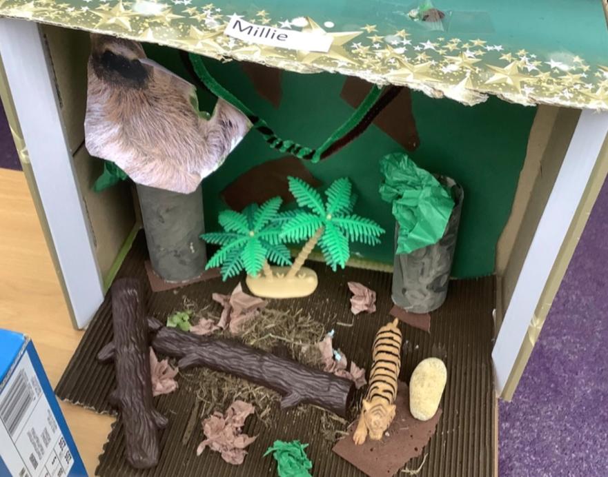 Creating habitats 