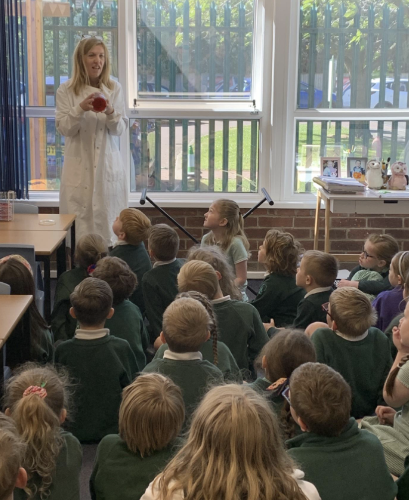 Learning about bacteria 