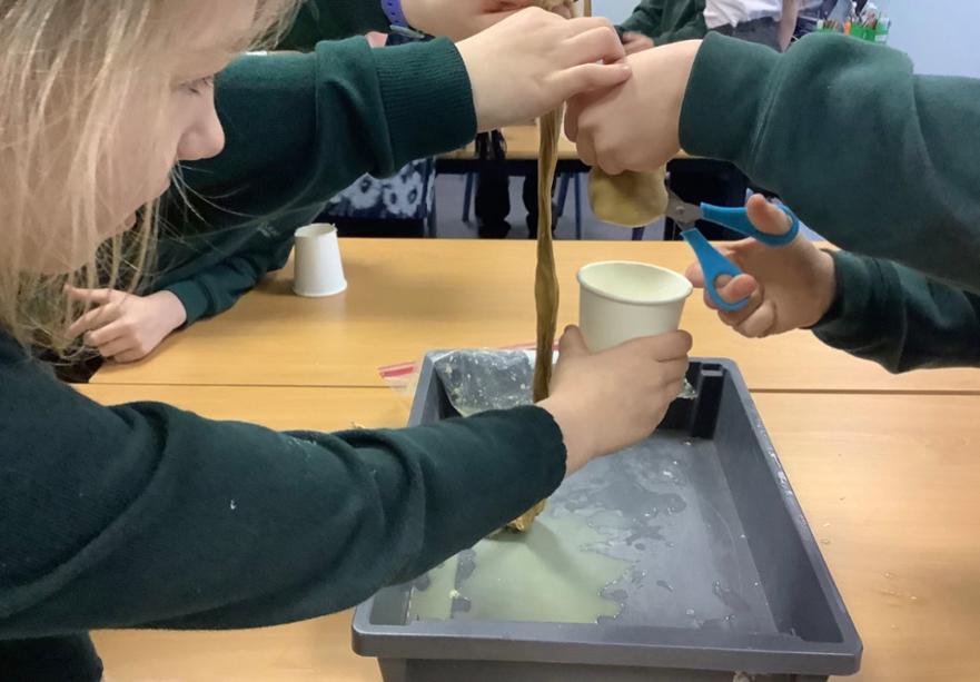 Learning about digestion 