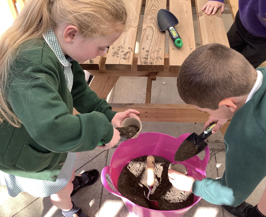 Planting seeds  