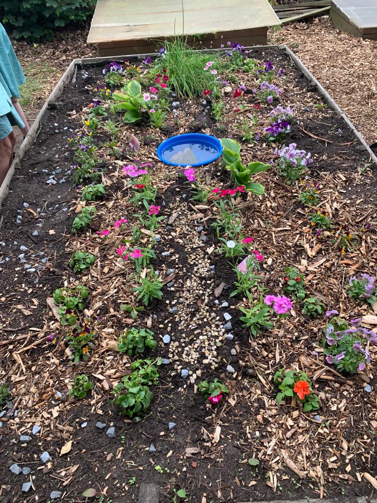 Raised bed designed to attract insects 