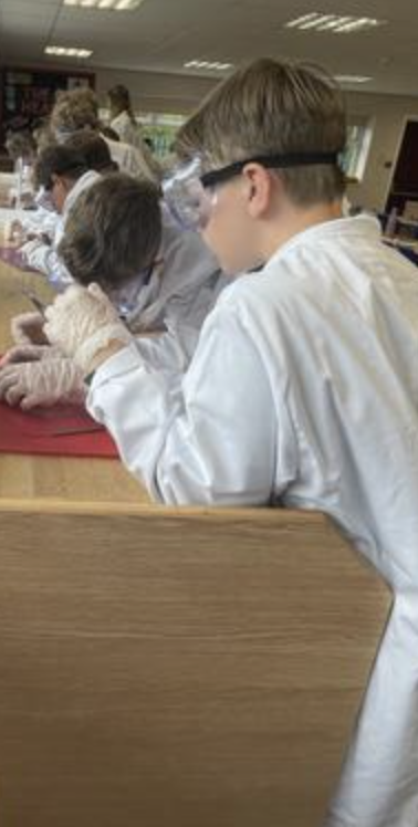 Dissecting a heart 2 