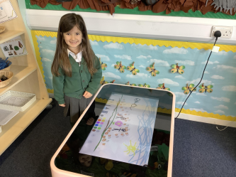 Using an interactive table 
